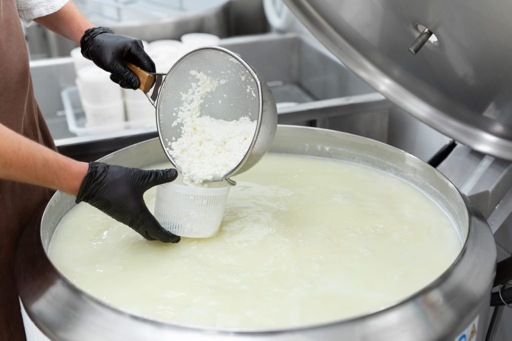 Inicio 2 filling molds for the production of soft cheese at 2022 09 29 13 59 35 utc scaled 1